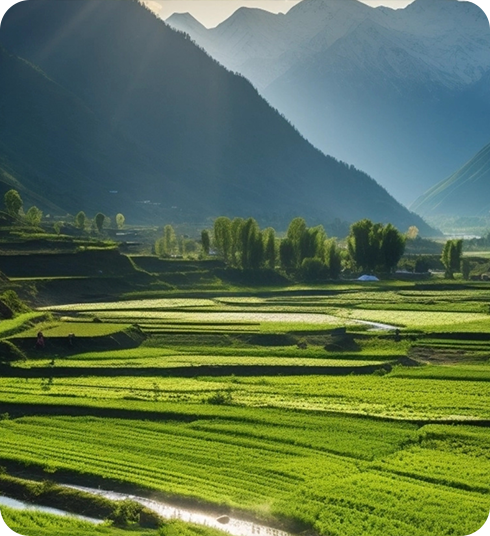 Zhejiang Xiaojing Agricultural Machinery Manufacturing Co., Ltd.